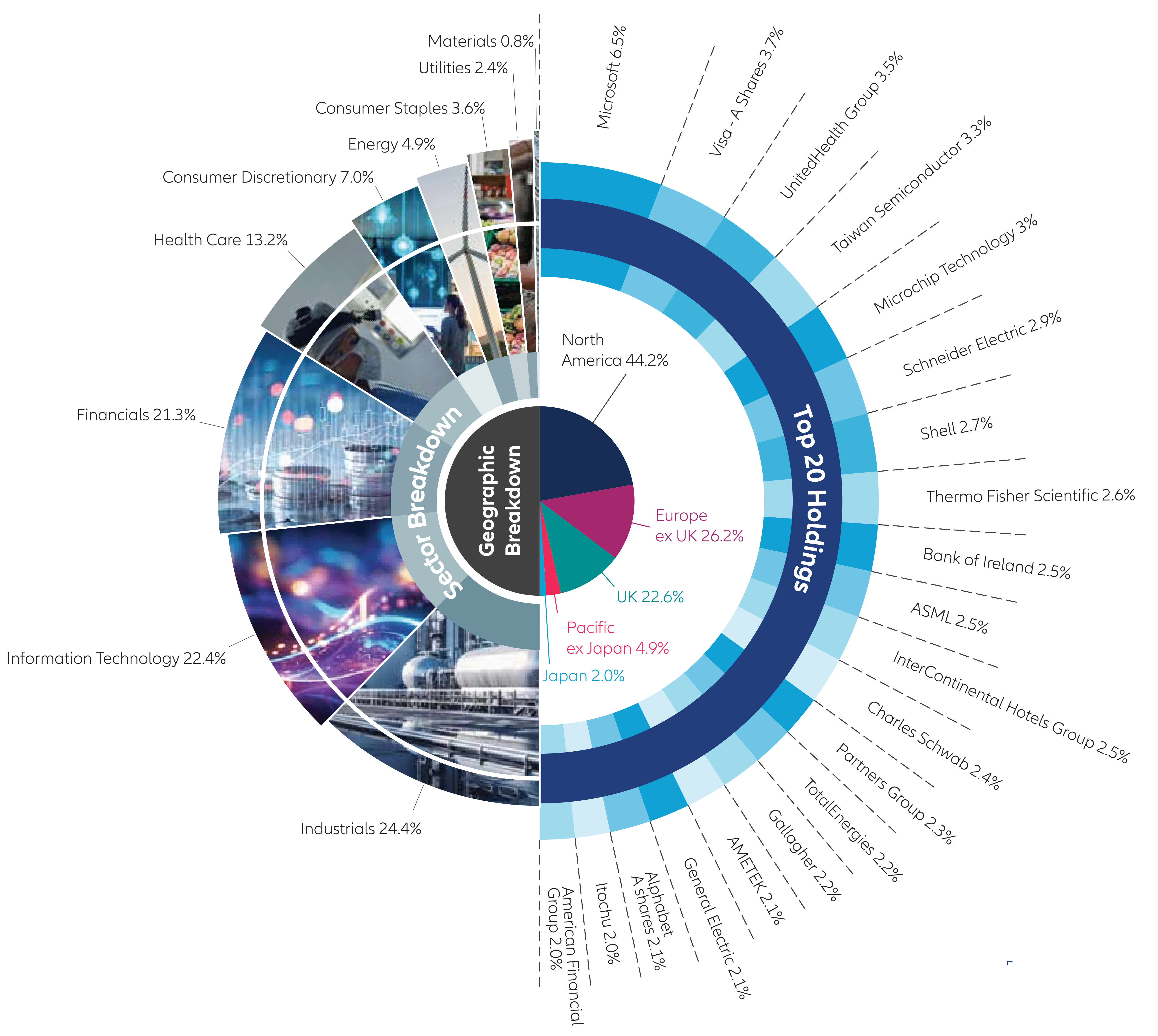 infographic